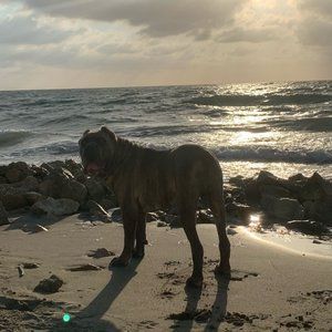 Meet your Posher, Jorge